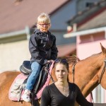 Stavìní máje v Holici u Olomouce