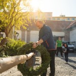 Stavìní máje v Holici u Olomouce