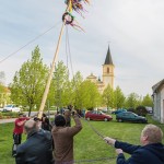 Stavìní máje v Holici u Olomouce