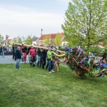 Stavìní máje v Holici u Olomouce