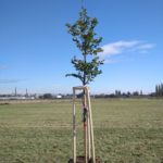 UNADJUSTEDNONRAW_thumb_65