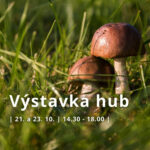 Výstava hub z našeho regionu